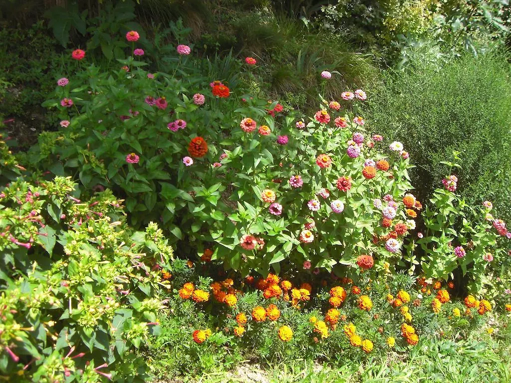 Al Mulino Bed and Breakfast Fregona